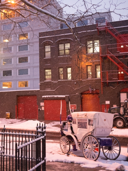 Snowy eve at the park Hell's Kitchen Cathy Stewart